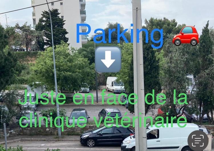 Location Chambre Avec Salle De Bain Et Partie Commune Sea View & Mountain View Renting 1 Of 3 Bedrooms With Shared Common Space 3 Bdrm Apt Not 1 Bdrm Plus Clime Ou Ac Bastia  Exterior foto